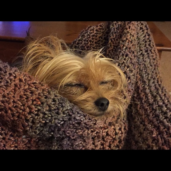 Meet your Posher, Mary - Picture 1 of 1